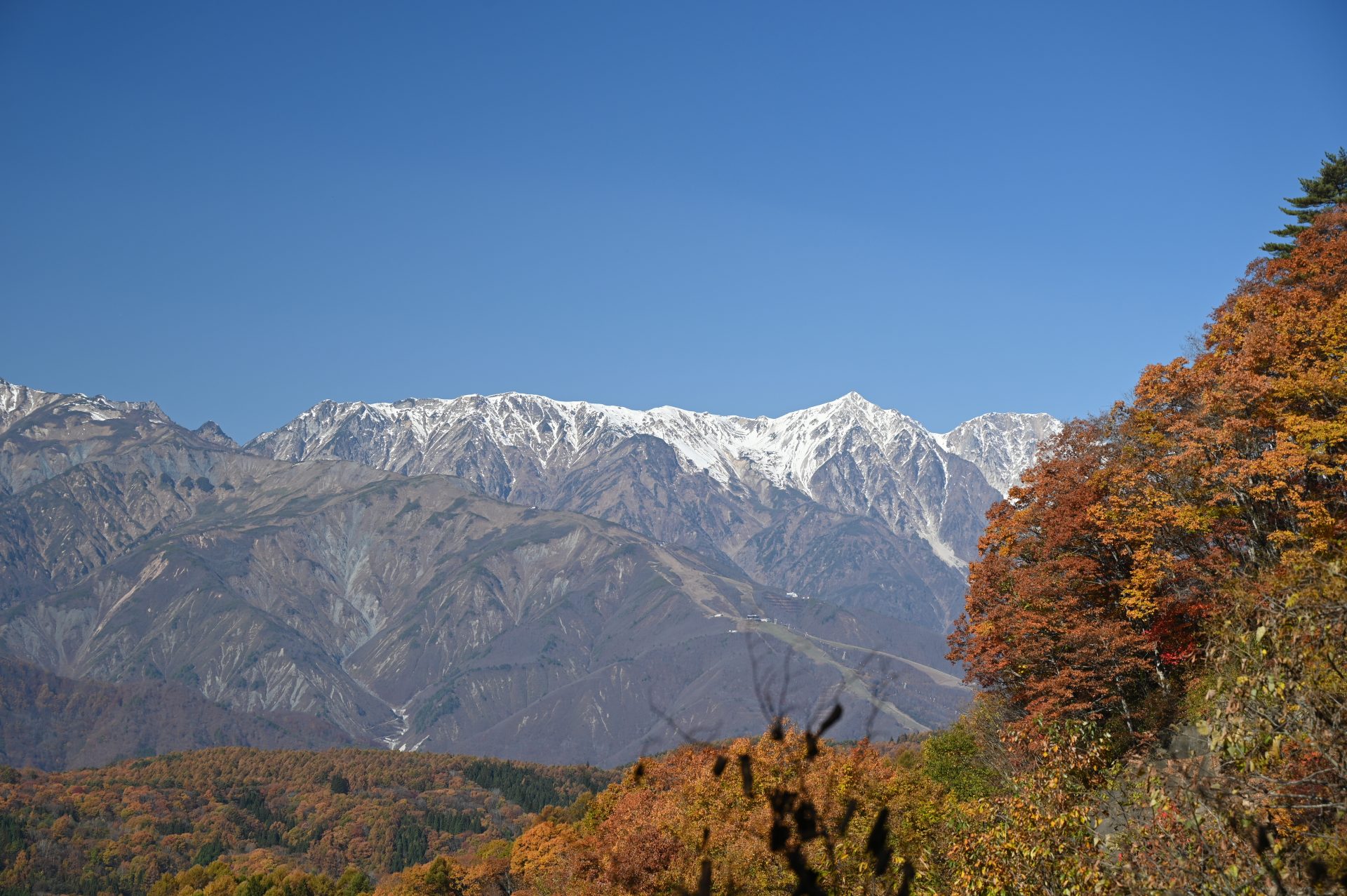 白沢洞門